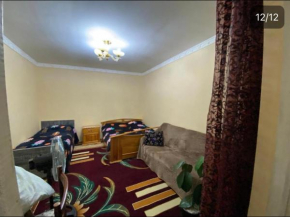 Hostel Amir